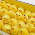 thumbnail image 6 of Sylvtty 24/36Pcs Easter Fur Chicks Adorable Appearance Mini Size Wide Application Fluffy Soft Plush Toys Easter Chicks Party Decorations, 6 of 6
