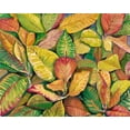 thumbnail image 2 of OToole, Tim 32x26 Black Ornate Wood Framed with Double Matting Museum Art Print Titled - Tropical Close Up II, 2 of 4
