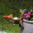 thumbnail image 4 of Birds Perched on Branches Flower Pot Hugger Figurines, Mini Resin Birds Sculpture Outdoor Statues Planter Pot Terrarium Fish Tank Edge Bonsai Craft Decor Fairy Garden Accessories, 4 of 8