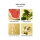 thumbnail image 4 of Vela votiva NEST, aroma a pomelo de Nueva York, 60 ml, Burn 28 h, 4 of 6
