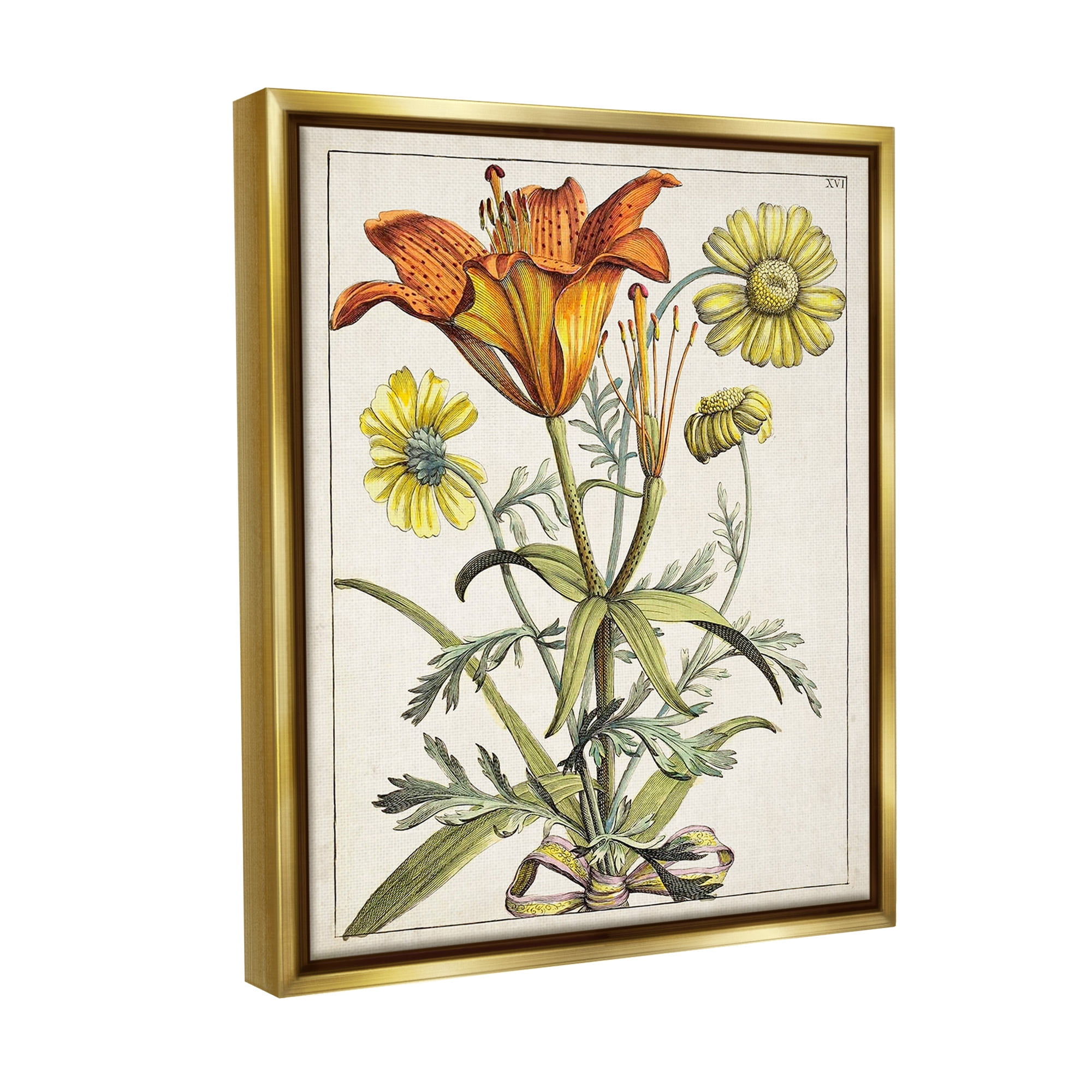 Stupell Industries Flowers Latin Study Botanical & Floral Painting Gold Floater Framed Canvas Art Print Wall Art, 17 x 21