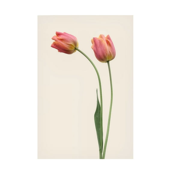 Trademark Fine Art Lotte Gronkjar Duo Canvas Wall Art