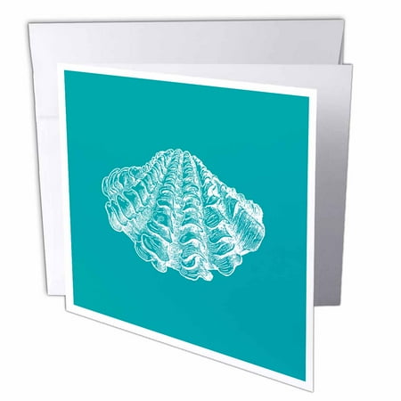 3dRose Teal Blue seashell etching print Modern Sea shell clam beach ocean, Greeting Cards, 6 x 6 inches, set of 6