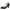 Black, variant on Women's Dress Shoes Low Heel Pumps Closed Toe Comfort Casual Flats Ankle Strap Heels