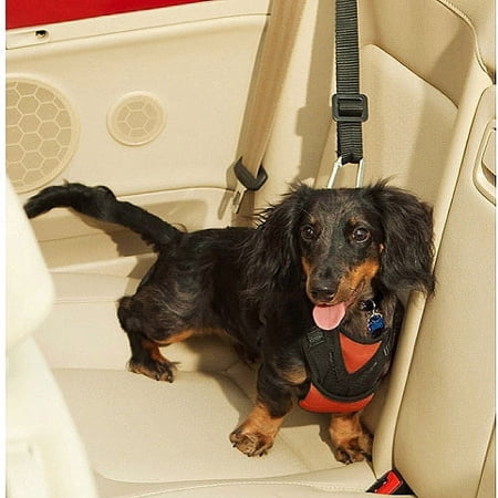 ASPCA Safety Harness, multiple sizes