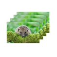 thumbnail image 4 of MKHERT Funny Animal Wild Hedgehog On Green Moss Placemats Table Mats for Dining Room Kitchen Table Decoration 12x18 inch,Set of 4, 4 of 4