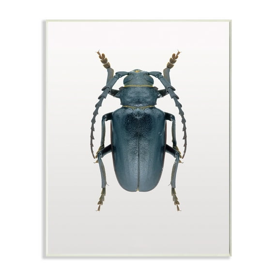 Stupell Industries Beetle Blue Yellow Animal Photograph Graphic Art Unframed Art Print Wall Art, 10x15, by Design Fabrikken