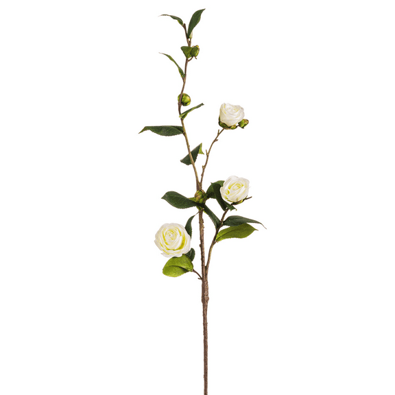 Park Place - 12 piece Camellia Stem 31"