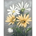 thumbnail image 2 of Reynolds, Jade 20x24 Gold Ornate Wood Framed with Double Matting Museum Art Print Titled - Summer Daisies II, 2 of 4