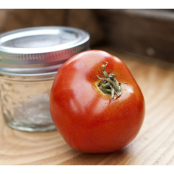 Abe Lincoln Heirloom Tomato Premium Seeds Packet