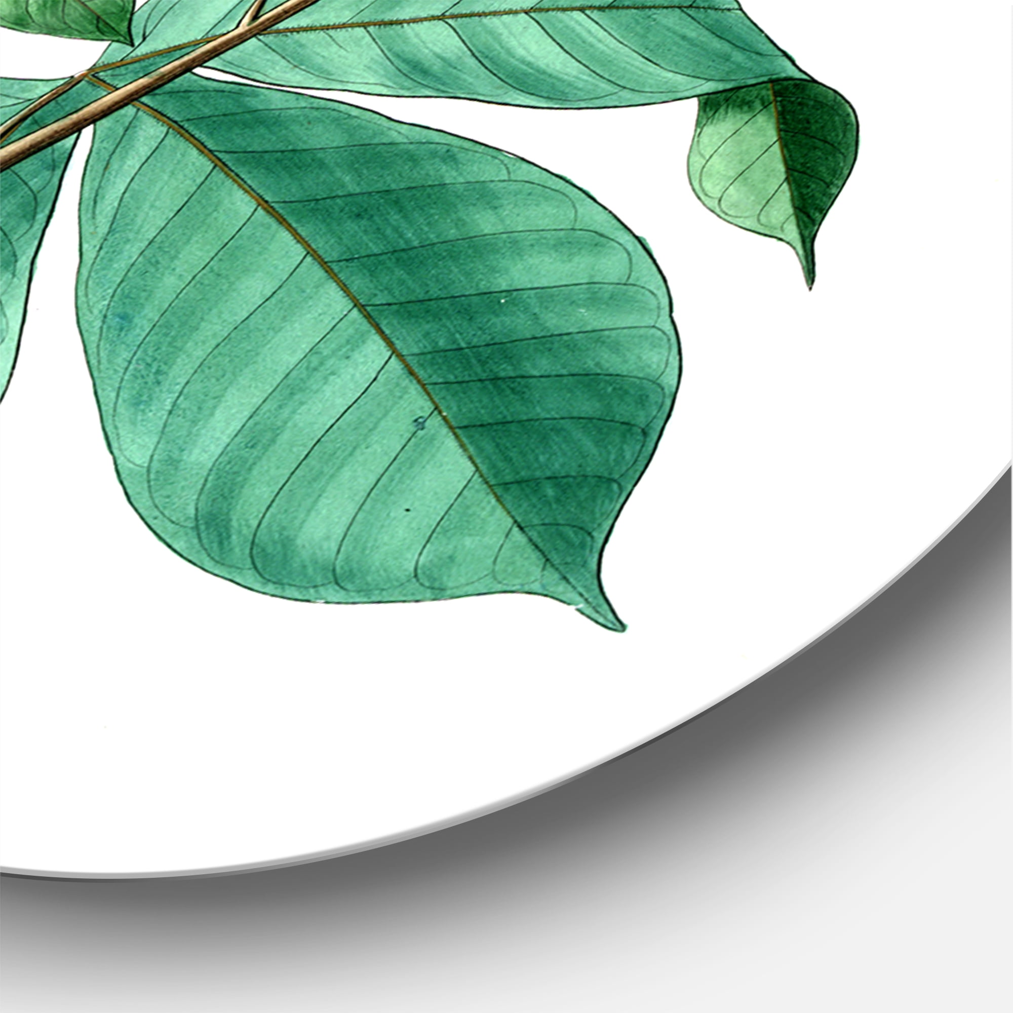 Designart 'Ancient Green Leaves Plants III' Traditional Circle Metal Wall Art 11x11 - Disc of 11