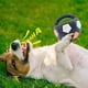 thumbnail image 5 of Juguete de fútbol para perro con chillido - pelota interactiva de goma para juegos acuáticos, entrenamiento y juegos al aire libre - Juguete flotante para mascotas de 13 cm/7 pulgadas, 5 of 9