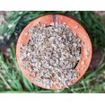 thumbnail image 5 of Dill Seeds, 2 Pounds — Kosher, Raw, Vegan — by Food to Live, 5 of 8