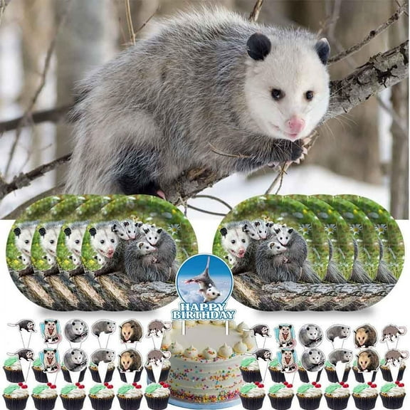Opossum Birthday Party Supplies Decorations Plates Cake Topper Backdrop Banner Decor