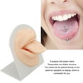 thumbnail image 4 of Modèle de Langue en Silicone, Modèle de Langue de Perçage Simulé Flexible Réaliste Doux pour Salon de Perçage, 4 of 7