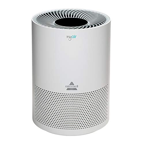air purifier for pets walmart