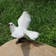 thumbnail image 4 of Estatua De Pájaros Falsos Con Grúa De Paloma Emplumada Artificial - Decoración Divertida De Adornos De Esculturas - Figuras De Arte De Patio Interior 3 blanco Soledad Decoy Pigeon Artificial, 4 of 10