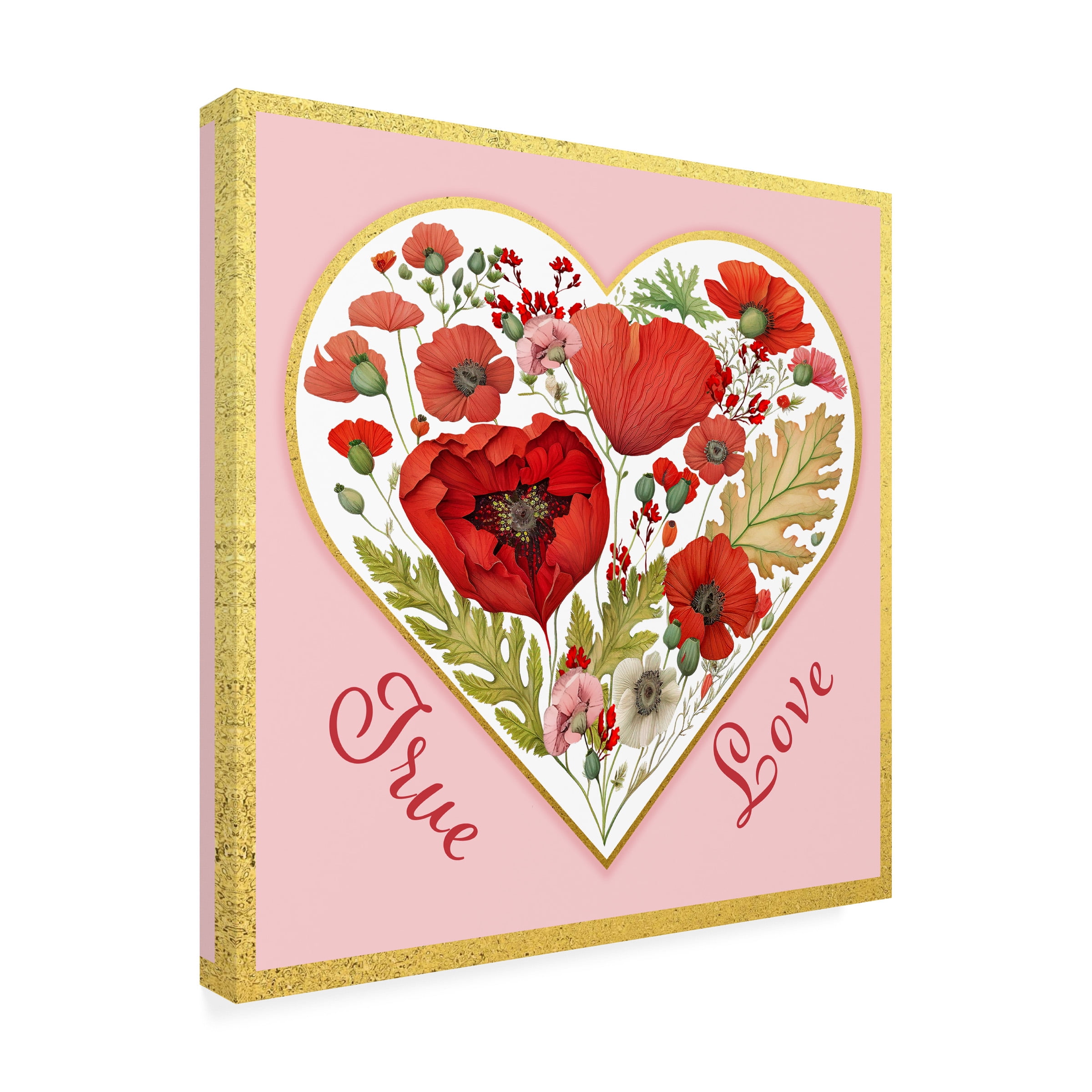 Canvas Wall Art - Jean Plout 'Valentine Poppy Heart A' Wall Art for Living Room, Bedroom, or Office DÃ©cor by Trademark Fine Art - 35 x 35 Inches