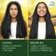 thumbnail image 4 of Shampoo Herbal Essences para cabello seco Nutre e Hidrata Pequi & Aguacate sin sal 400 ml, 4 of 6