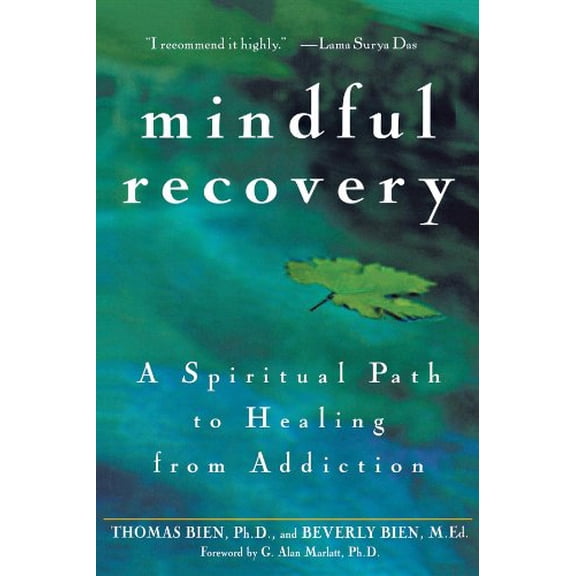 Pre-Owned Mindful Recovery: A Spiritual Path to Healing from Addiction (Paperback) 0471442615 9780471442615