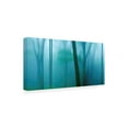 thumbnail image 2 of James McLoughlin 'Harriman Woods IV' Canvas Art, 2 of 3