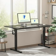 FLEXISPOT 48"x30" Home Office Height Adjustable Standing Desk with Hooks, Ergonomic Electric 2-Stage Stand Up Computer Desk, Black