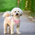 thumbnail image 4 of BARKBAY No Pull Dog Harness Large Reflective Dog Harness with Front Clip and Easy Control Handle for Walking Training Running with ID tag Pocket(Baby Pink,S), 4 of 10