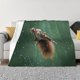 thumbnail image 1 of Fotbe Squirrel Manta de Franela con Estampado, Manta Ultrasuave para Cama, Sofá, Auto, Hipoalergénica y Antibolitas-40"x30", 1 of 6