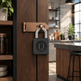 Keyless Key Lock Box Black Fingerprint Padlock, Small Keyless Lock for Cases and Tool Boxes ...