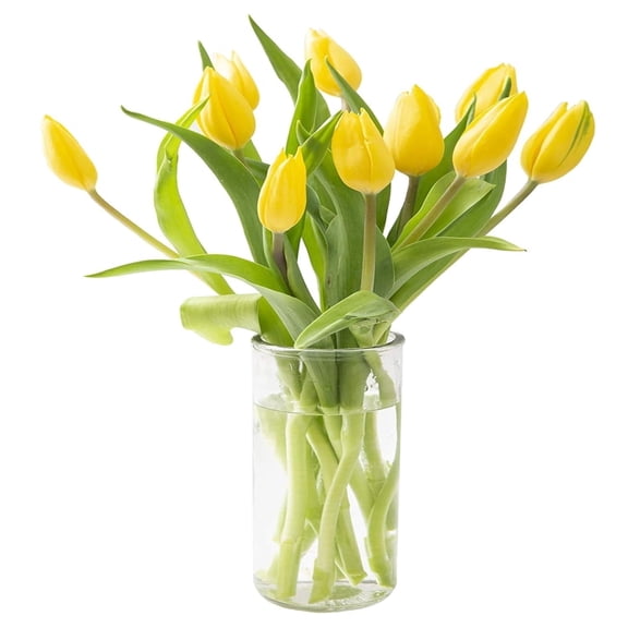 KaBloom: 10 Yellow Tulips with Vase, Next-Day Delivery, Gift for Every Occasion.