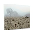 thumbnail image 2 of Tangletown Fine Art 'Oak Tree - 61' Photographic Print on Wrapped Canvas, 2 of 2