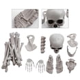 thumbnail image 3 of Esqueleto Bucky de 27 piezas para decoraciones de Halloween, 3 of 3