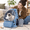 Blue, variant on Black Pet Carrier with Bubble Window for Cats and Small Dogs Up to 15 Pounds