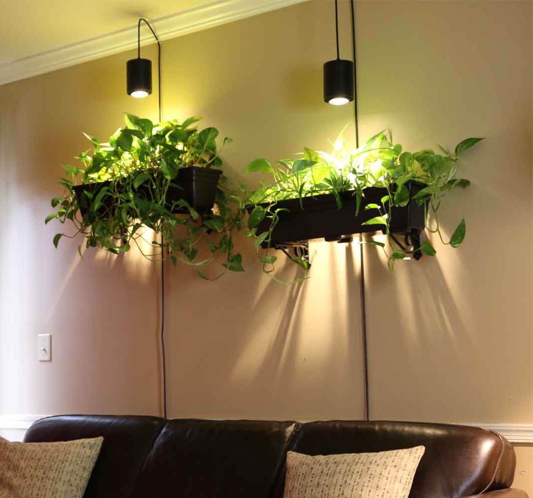 (2 pack) Great Value BR30 Color Selectable LED Grow Light Bulb
