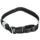 thumbnail image 2 of Collar tallado ajustable para mascotas con LED recargable por USB, iluminación para perros, collar de seguridad nocturna, cuero verde L, 2 of 5