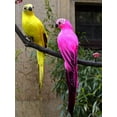 thumbnail image 3 of Nvzi 1 pieza de pájaros artificiales de 10,6 pulgadas, loro realista con modelo de decoración de loro con plumas realistas para decoración artesanal, estilo de estación blanca, 3 of 4