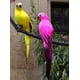 thumbnail image 3 of Nvzi 2 piezas de pájaros artificiales de 9,9 pulgadas, loro realista con modelo de decoración de loro con plumas realistas para decoración artesanal, amarillo A, 3 of 4