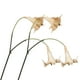 thumbnail image 1 of Flores artificiales Inteprter 2 piezas PU Colorido, 1 of 6