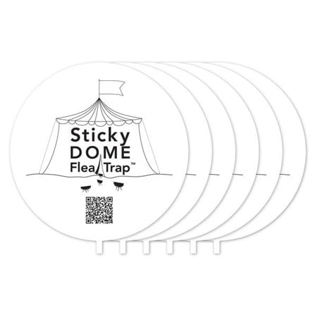 Aspectek Sticky Dome Flea Trap Refill 6-Pack