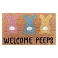 thumbnail image 2 of LSLJS Easter Doormat Easter Eggs Rabbit Entryway Front Porch Rugs Anti-Skid Bottom Floor Indoor Outdoor Carpet For Home Patio Home Decor, Easter Door Mat, 2 of 7