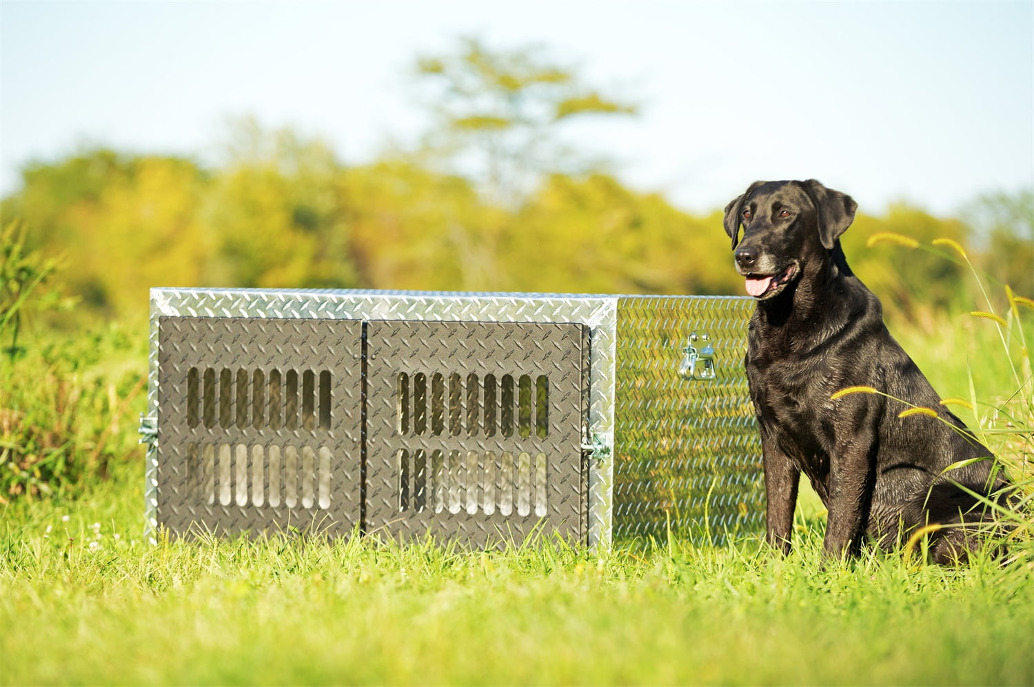 Dee Zee DZ 91781 Dog Box Double Tool Boxes Specialty Universal