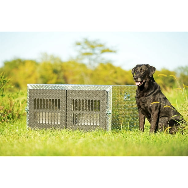 Dee Zee DZ 91781 Dog Box Double Tool Boxes Specialty Universal