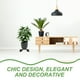 thumbnail image 2 of Soporte para plantas con ruedas, resistente, rodante, móvil, para macetas, 2 of 6