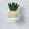 thumbnail image 6 of Better Homes & Gardens Aroma Accents Fragrance Plug, Snake Plant, 6 of 8