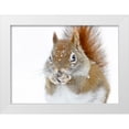 thumbnail image 1 of Costina, Mircea 24x19 White Modern Wood Framed Museum Art Print Titled - Christmas Squirrel, 1 of 4