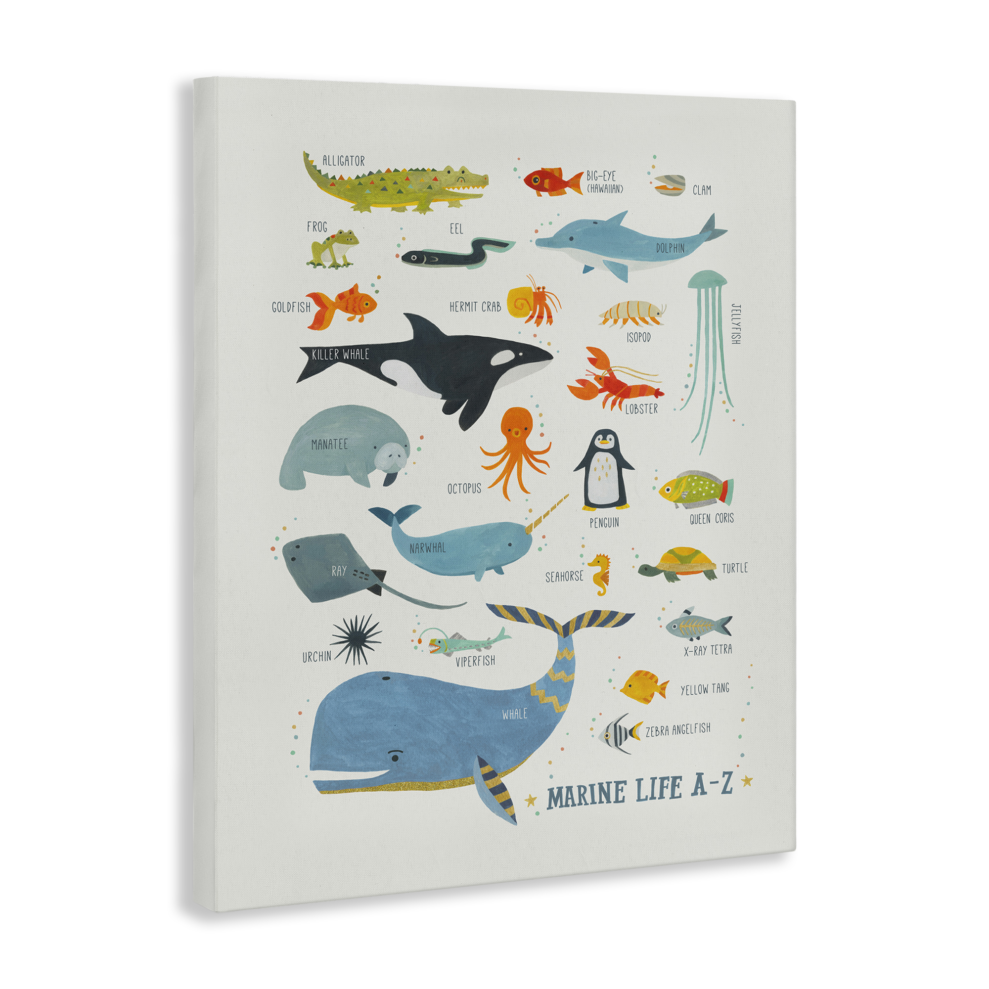 Stupell Industries Marine Life ABC Alphabet Education Painting Wrapped Canvas Art Print Wall Art, 24 x 30