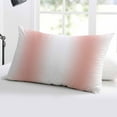 thumbnail image 5 of Pink Ombre Throw Pillow Cover 16 x 24 Inch Decorative Pillow Cover Farmhouse Modern Abstract Art Lumbar Pillowcase Seasonal Rectangle Cushion Case for Couch Sofa Bed Living Room, 5 of 7