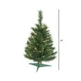 thumbnail image 2 of Vickerman 24" Imperial Pine Artificial Christmas Tree, Clear Dura-lit Lights - Faux Table Top Christmas Tree - Seasonal Indoor Home Decor, 2 of 2