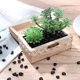 thumbnail image 2 of unbranded Decorativas Negras Para Acuario Grava Lisa Para De Peceras Y, 2 of 8