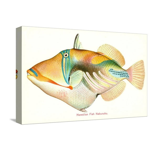 Art.com Hawaiian Fish, Nakunuku Stretched Canvas Print Wall Art, 18" x 12"